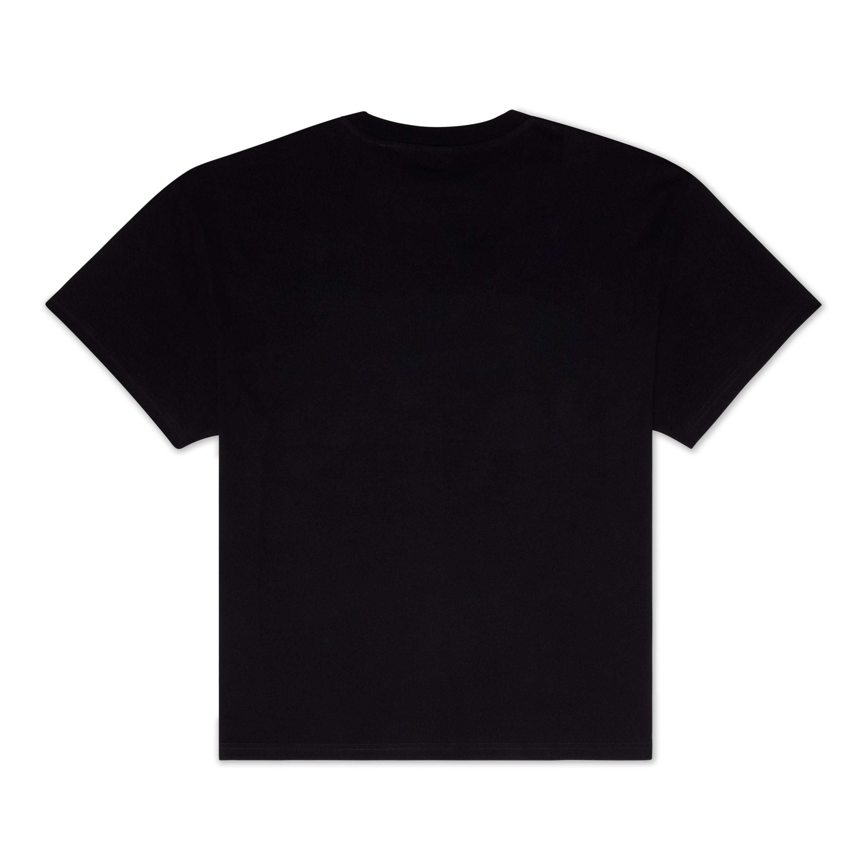 Stoned Island T-Shirt