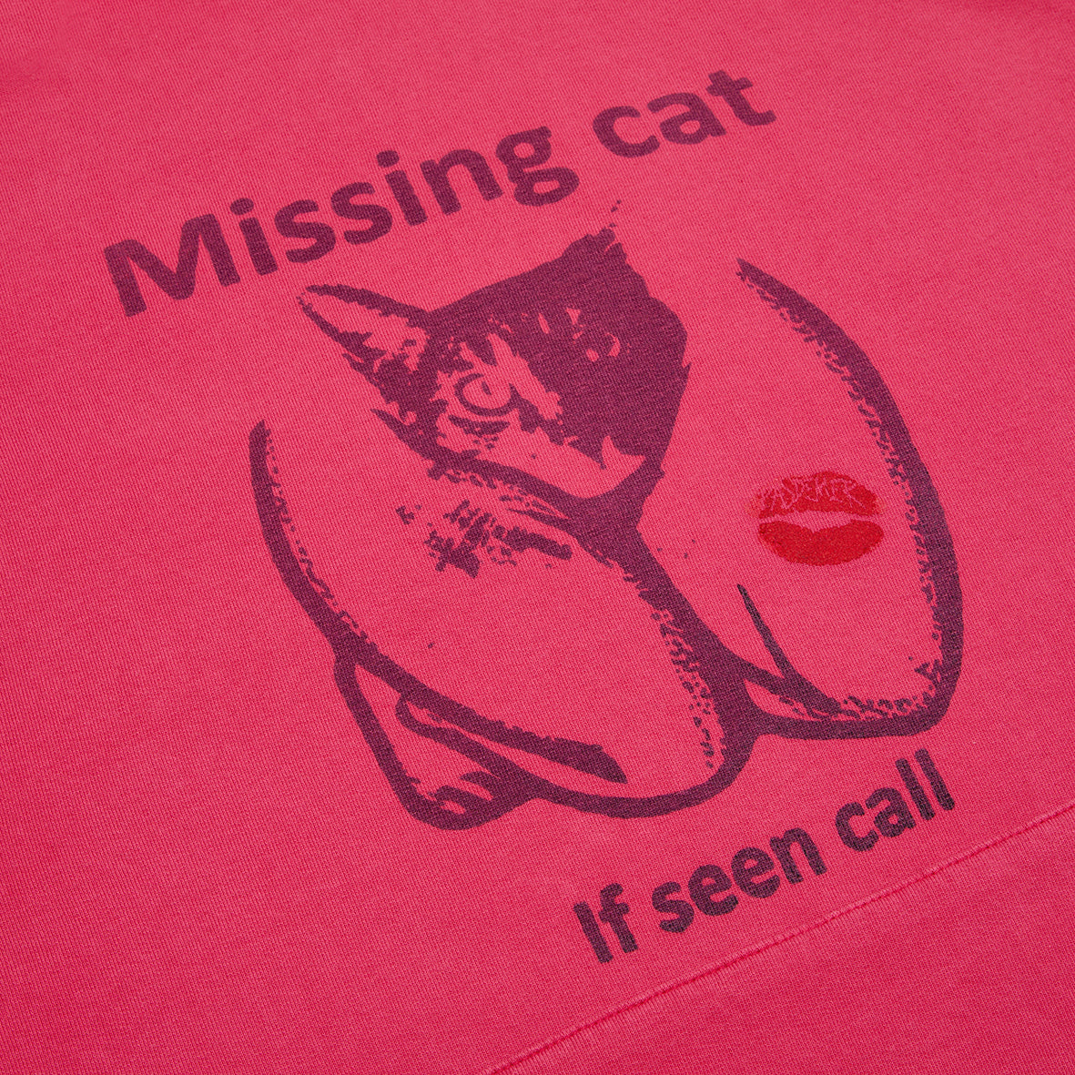 Missing Cat Hoody