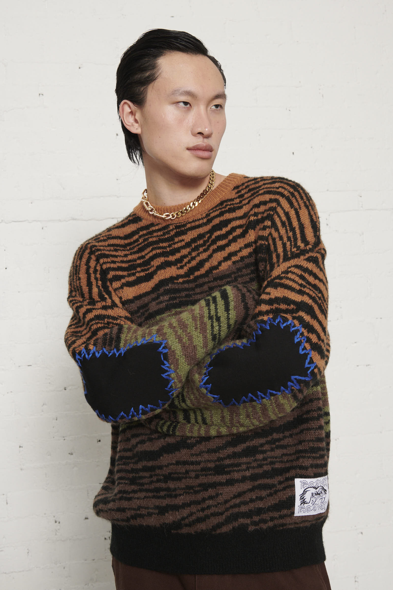 Zebra Jumper