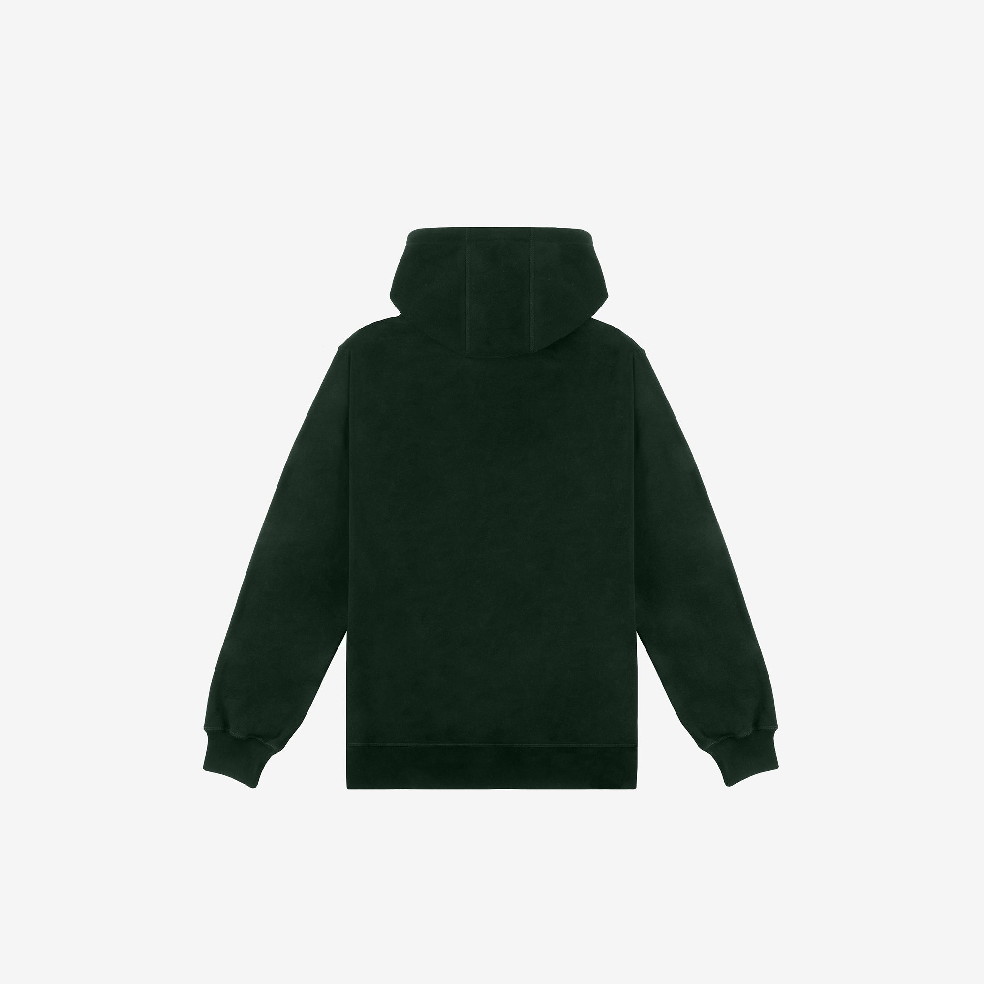 Winter Sucks Hoody